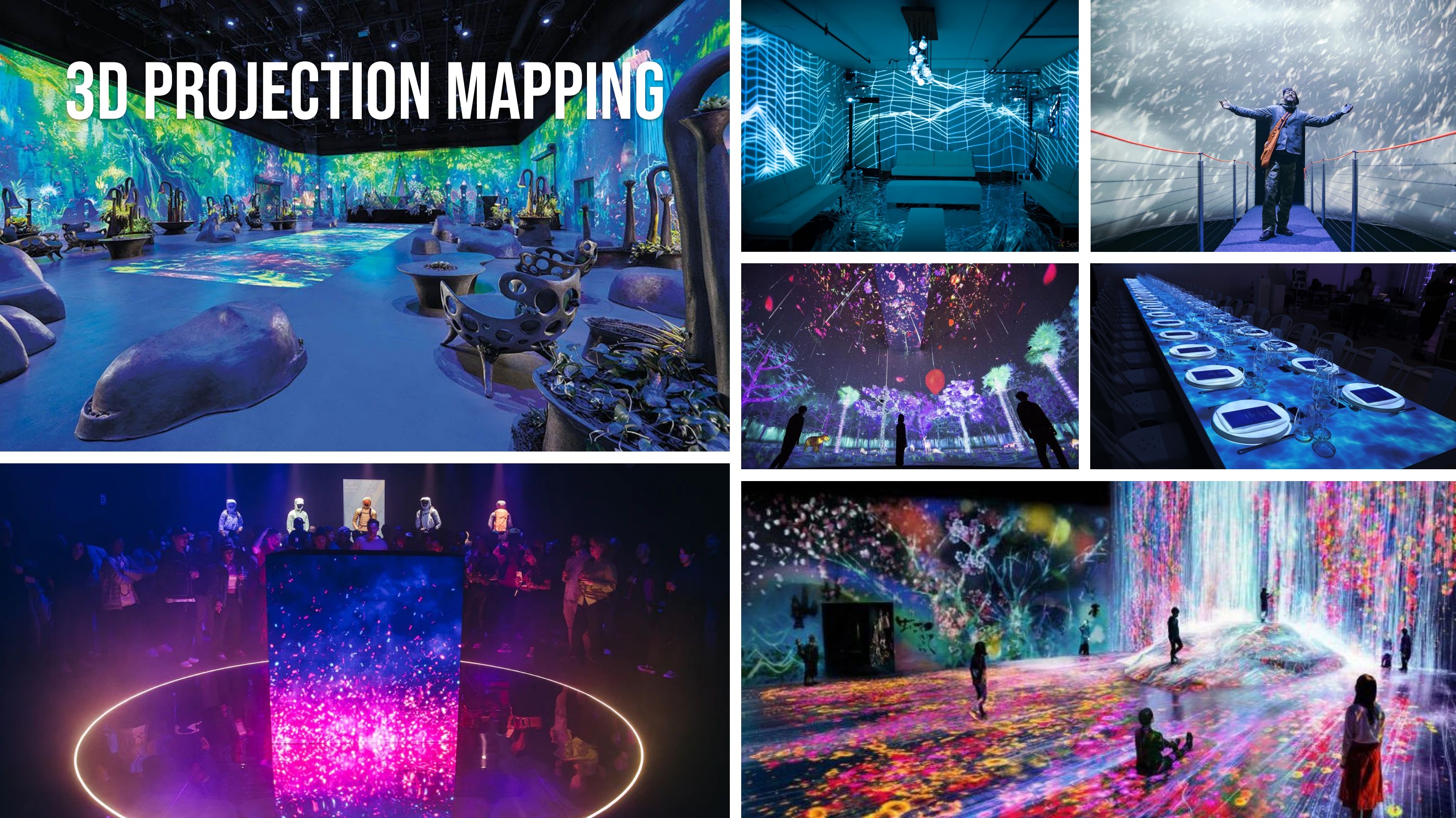 3D projection-mapped room with organic furniture and colorful nature projections